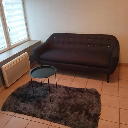 Apartment Frontiere Luxembourg Entree Privative Diedenhofen