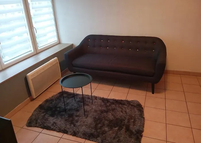 Appartement Frontiere Luxembourg Entree Privative Thionville